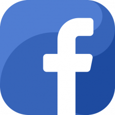 VISITORS TO THE SITE FROM FACEBOOK (1000 PCS) VISITORS TO THE SITE FROM FACEBOOK (1000 PCS)