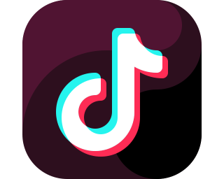 SUBSCRIBERS ON TIK-TOK